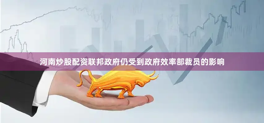 河南炒股配资联邦政府仍受到政府效率部裁员的影响