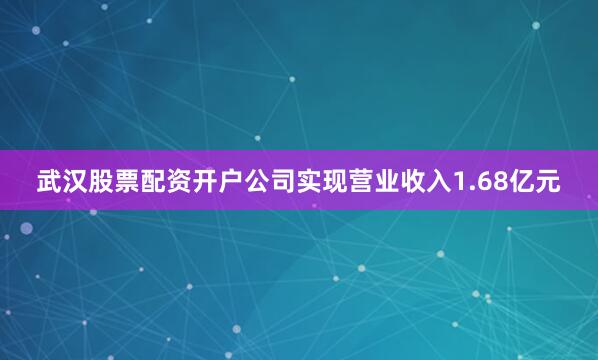 武汉股票配资开户公司实现营业收入1.68亿元
