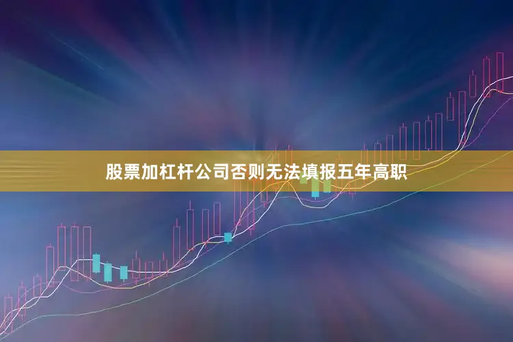 股票加杠杆公司否则无法填报五年高职